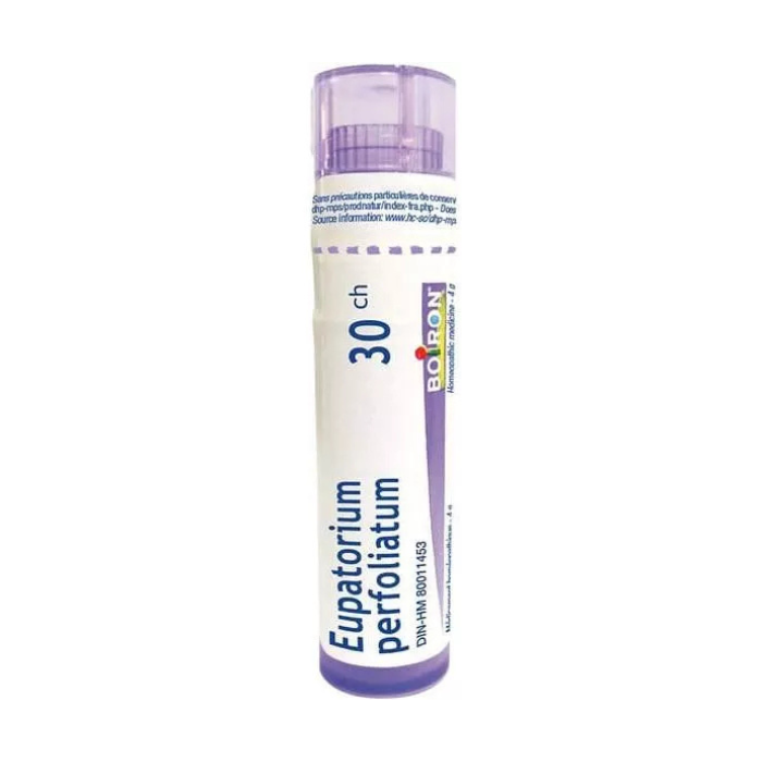 109022--1 EUPATORIUM PERFORATUM 30Ch - Image 1