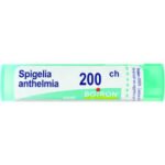 SPIGELIA ANT  200Ch