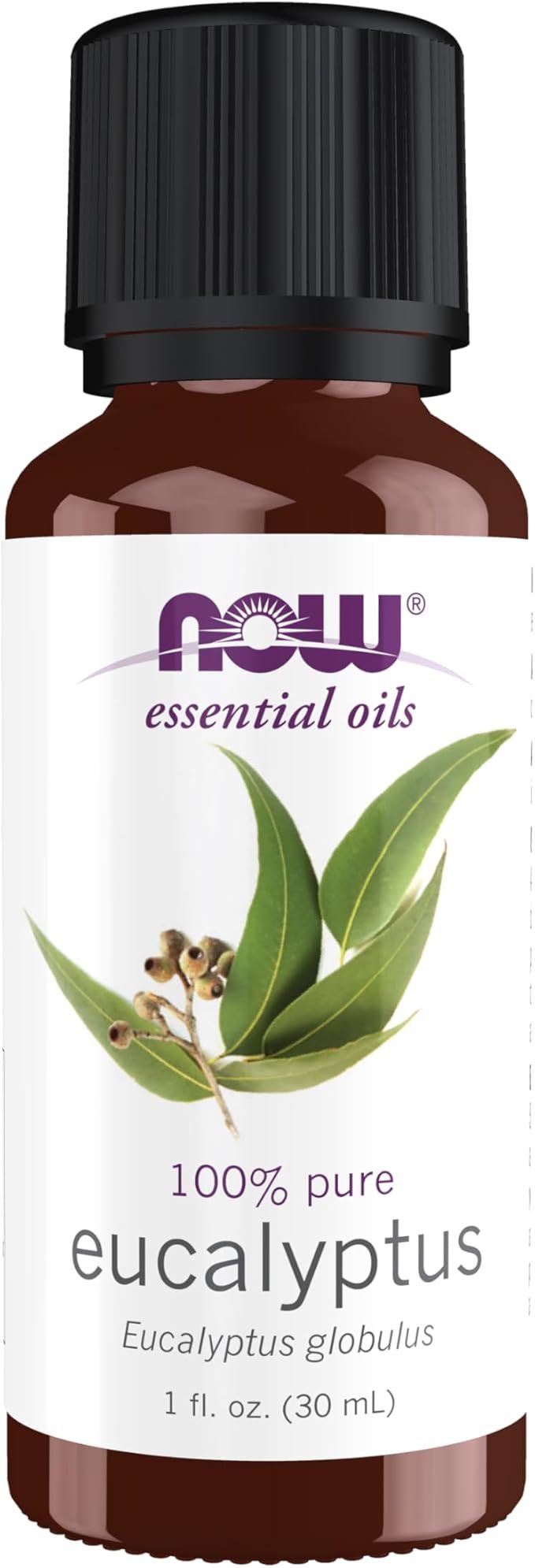 NOW EUCALYPTUS OIL 1OZ 30ML NOW EUCALYPTUS OIL 1OZ 30ML - Image 1