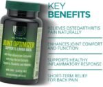 ULTIMATE JOINT OPTIMIZER 60s