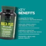 ULTIMATE MACA PLUS GINSENG 90S