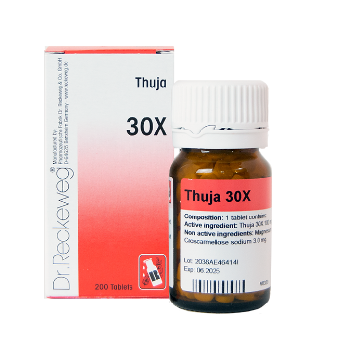 133267-1 Dr. Reckeweg thuja 30x 200 tabs - Image 1