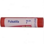 PULSATILLA 7Ch
