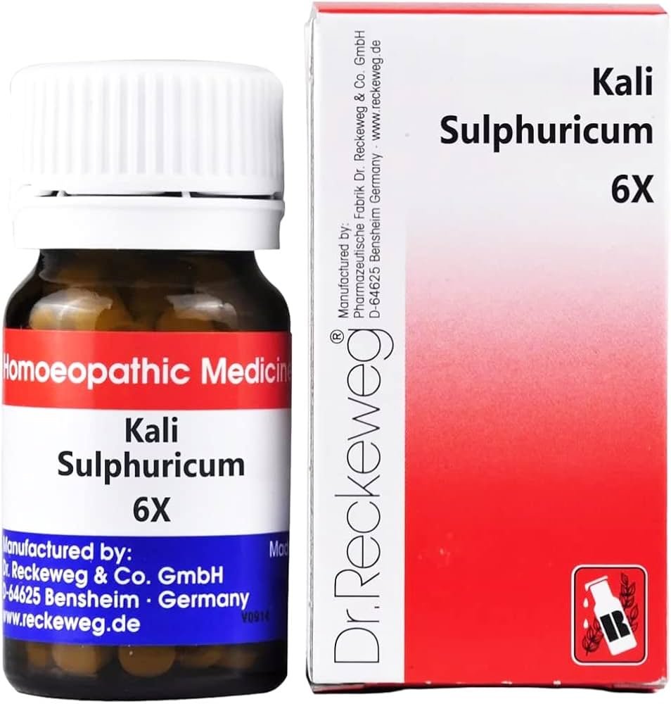 61EisE+lQnL._AC_UF1000,1000_QL80_ DR RECKEWEG NO.6 KALIUM SULFURICUM 6X 200S - Image 1